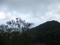 nte Rinatu-20110615 079